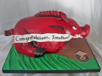 Arkansas Razorbacks Cake